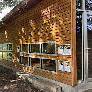 Assorted Reptile Exhibits