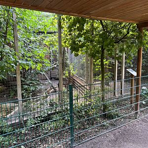 Fishing Cat Exhibit
