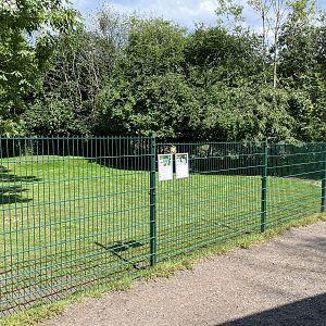 Swamp Wallaby Exhibit