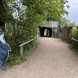Spectacled Bear Exhibit Pathway