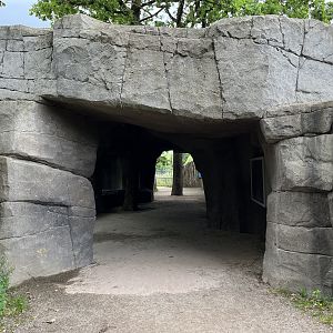 Spectacled Bear Exhibit Viewing Cave