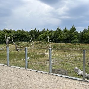 Spectacled Bear Exhibit #3