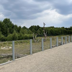 Spectacled Bear Exhibit #3