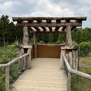 Spectacled Bear Exhibit #3