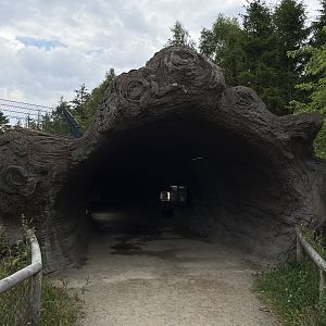 Spectacled Bear Exhibit #2