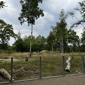 Spectacled Bear Exhibit #2