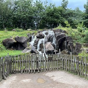 Gorilla Exhibit #1 - Waterfall