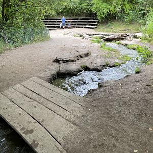 Gorilla Exhibit - visitor stream