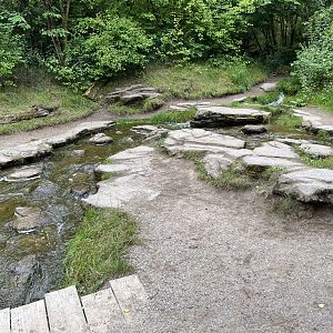 Gorilla Exhibit - visitor stream