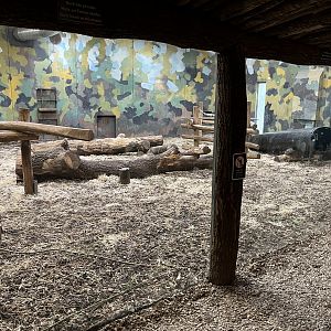 Gorilla Exhibit - indoor viewing
