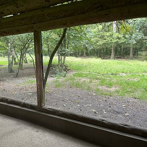 North American Wolf Exhibit