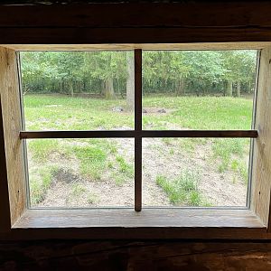 North American Wolf Exhibit