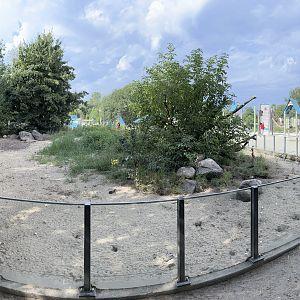 Banded Mongoose Exhibit