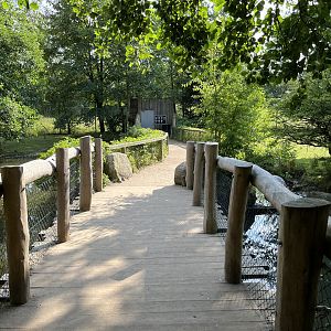 Pygmy Hippo Exhibits