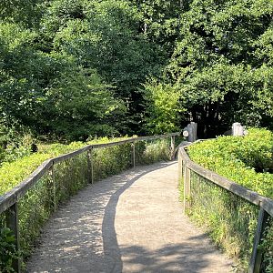 Pygmy Hippo Exhibits