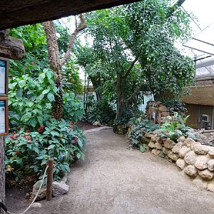 Rainforest house (07/22)