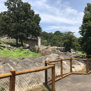 Behind the Scenes: Baboon Habitat Construction