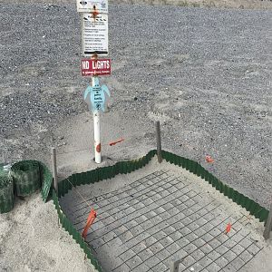 Sea Turtle Nest on Oak Island, NC