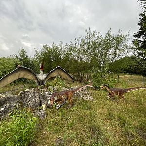 Pteranodon + Troodon