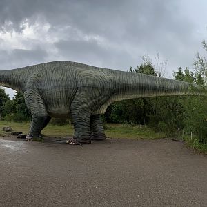 Argentinosaurus