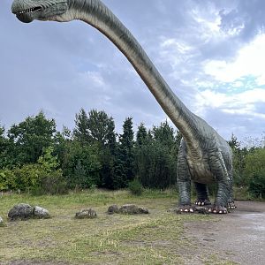 Argentinosaurus - wow!
