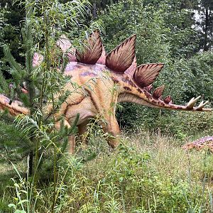 Stegosaurus