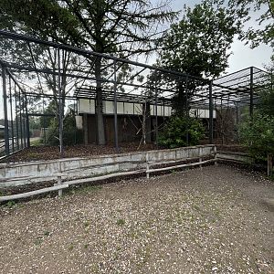 Military + Blue-throated Macaw Aviary