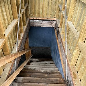 1.2 Acre Humboldt Penguin Exhibit