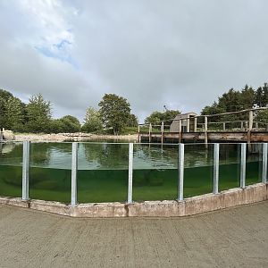 1.2 Acre Humboldt Penguin Exhibit
