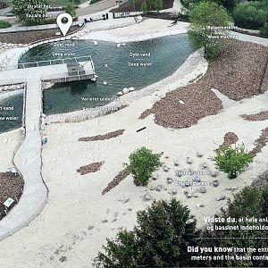 1.2 Acre Humboldt Penguin Exhibit