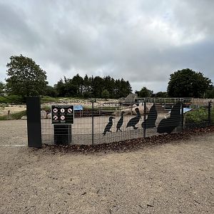 1.2 Acre Humboldt Penguin Exhibit