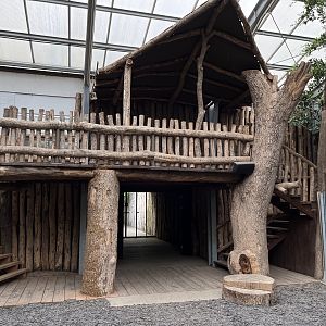Giant Otter House