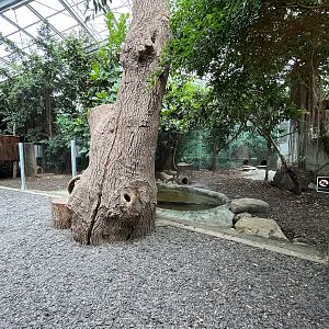 Giant Otter House