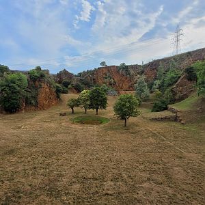 Tiger exhibit -Parque de la Naturaleza de Cabárceno (2022)
