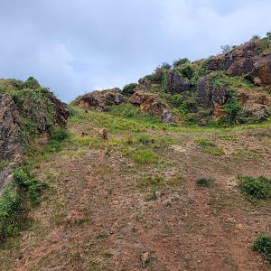 Guinea baboon exhibit -Parque de la Naturaleza de Cabárceno (2022)