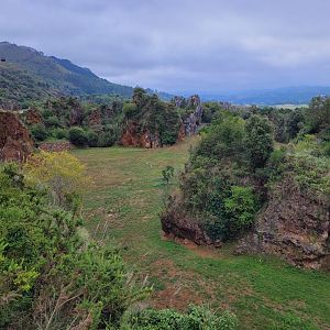Lion exhibit -Parque de la Naturaleza de Cabárceno (2022)