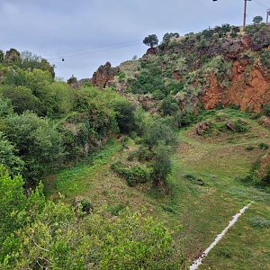 Eurasian elk exhibit -Parque de la Naturaleza de Cabárceno (2022)