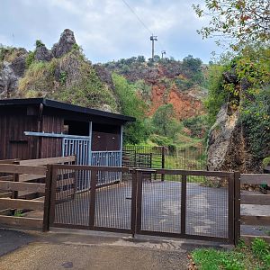 Eurasian elk exhibit -Parque de la Naturaleza de Cabárceno (2022)