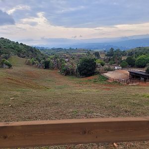 European lowland bison exhibit -Parque de la Naturaleza de Cabárceno (2022)