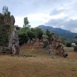 Ellipsen waterbuck exhibit -Parque de la Naturaleza de Cabárceno (2022)