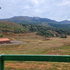 African bush elephant, South-European water buffalo and Kafue flats lechwe exhibit -Parque de la Naturaleza de Cabárceno (2022)