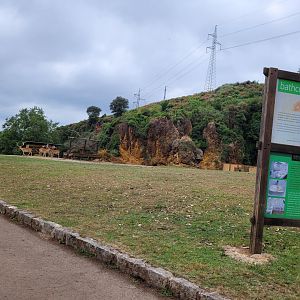 "Iberian fauna" exhibit -Parque de la Naturaleza de Cabárceno (2022)