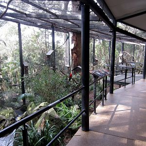 Interior of the Parrot Walk-through Aviary