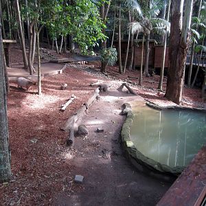 Capybara enclosure