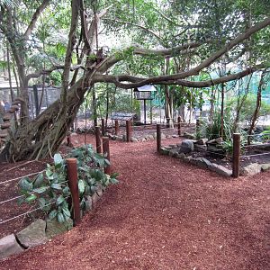 Interior of the Forest Fringe Aviary