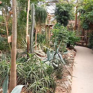 View into the Butterfly walk-through