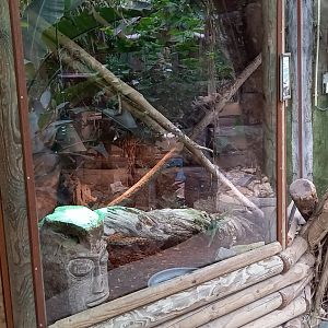 Enclosure Elaphe taeniura