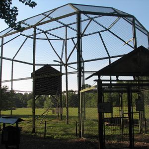 Körösvölgyi Állatpark, Szarvas, Griffon vulture aviary