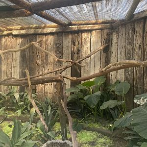 Blue & Gold Macaw Exhibit