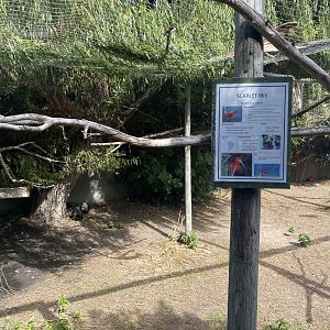 Scarlet Ibis/Hadeda Ibis/Egyptian Goose Exhibit
